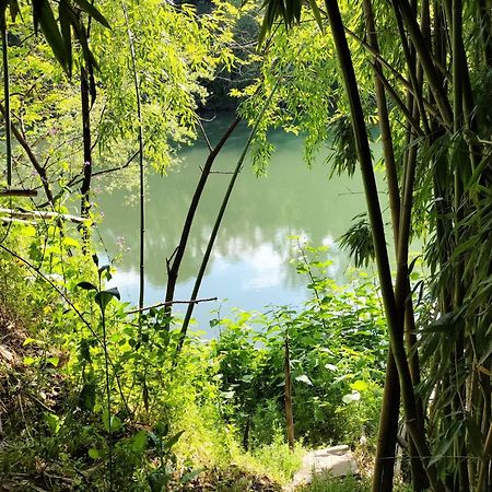Gite O Fil Du Tarn Lescure-dʼAlbigeois 外观 照片