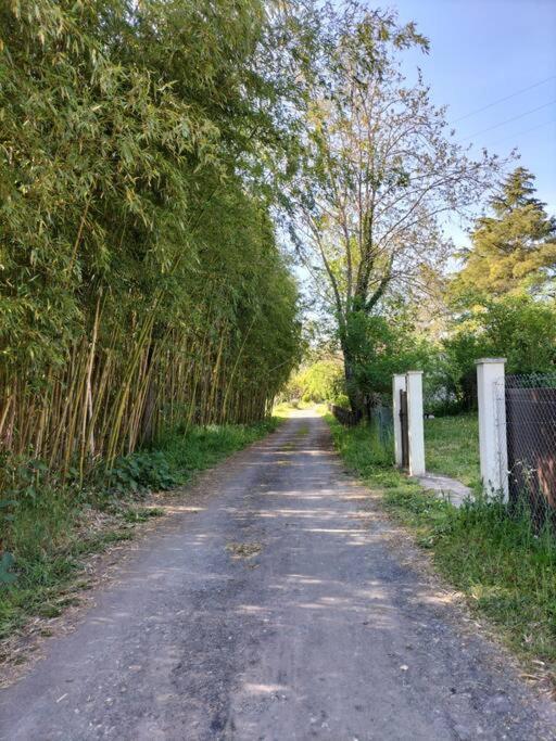 Gite O Fil Du Tarn Lescure-dʼAlbigeois 外观 照片